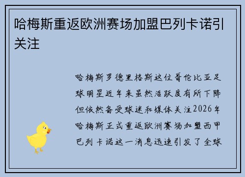 哈梅斯重返欧洲赛场加盟巴列卡诺引关注 哈梅斯重返欧洲赛场加盟巴列卡诺引关注